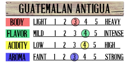 Guatemalan Antigua Fresh Coffee Beans 